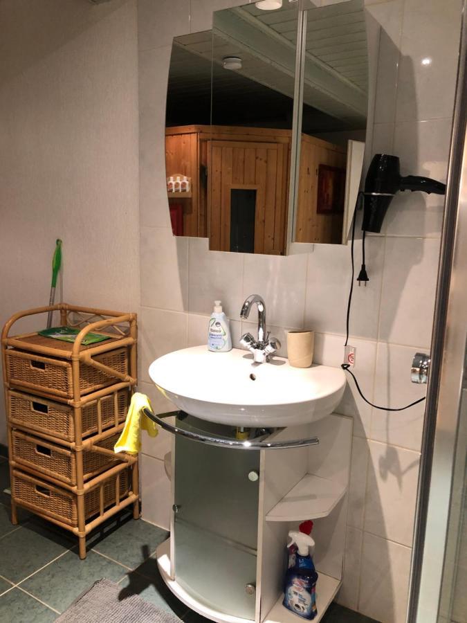 Ferienwohnung Nationalpark Eifel Nideggen Sauna エクステリア 写真